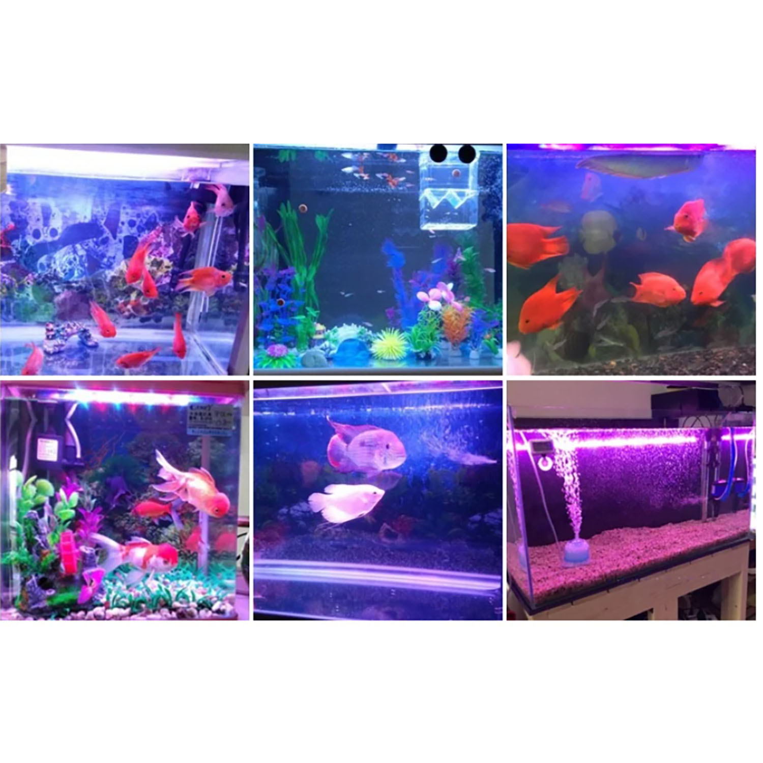 Aquarium Marine Blue - ไฟ LED สำหรับตู้ปลาทะเล กำลังสูง 50W 60W