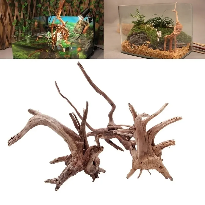 ต้นไม้ธรรมชาติลำต้นไม้ดริฟท์วู - Marine Aquarium Aquascape บทวิจารณ์และราคา