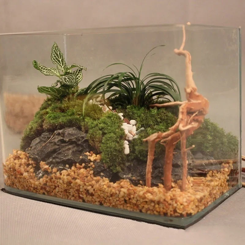 ต้นไม้ธรรมชาติลำต้นไม้ดริฟท์วู - Marine Aquarium Aquascape บทวิจารณ์และราคา