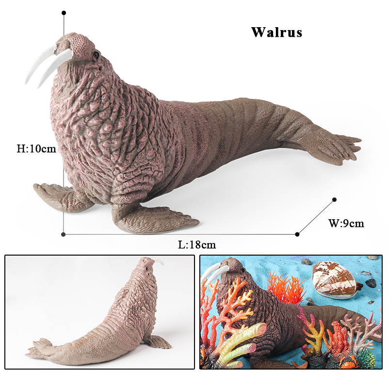 โอเอ็นักซ์ นิว ซี ไลฟ์ ซีล ซีไ - Aquarium Marine Blue บทวิจารณ์และราคา