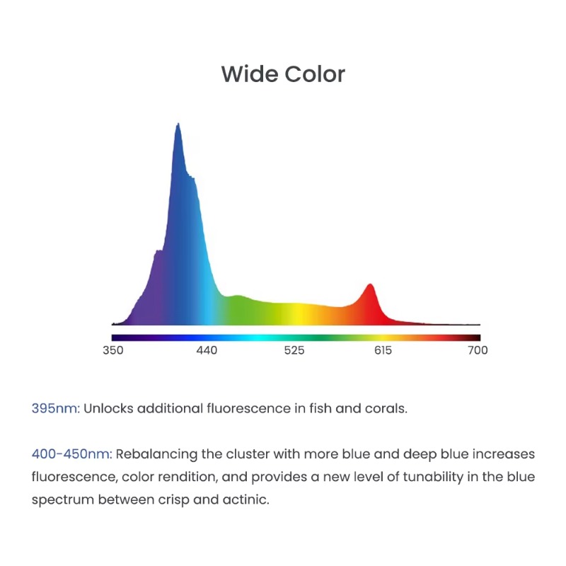 ไฟ LED สีฟ้า 240 วัตต์ สเปกตรั - Aquarium Blue Marine Reef บทวิจารณ์และราคา