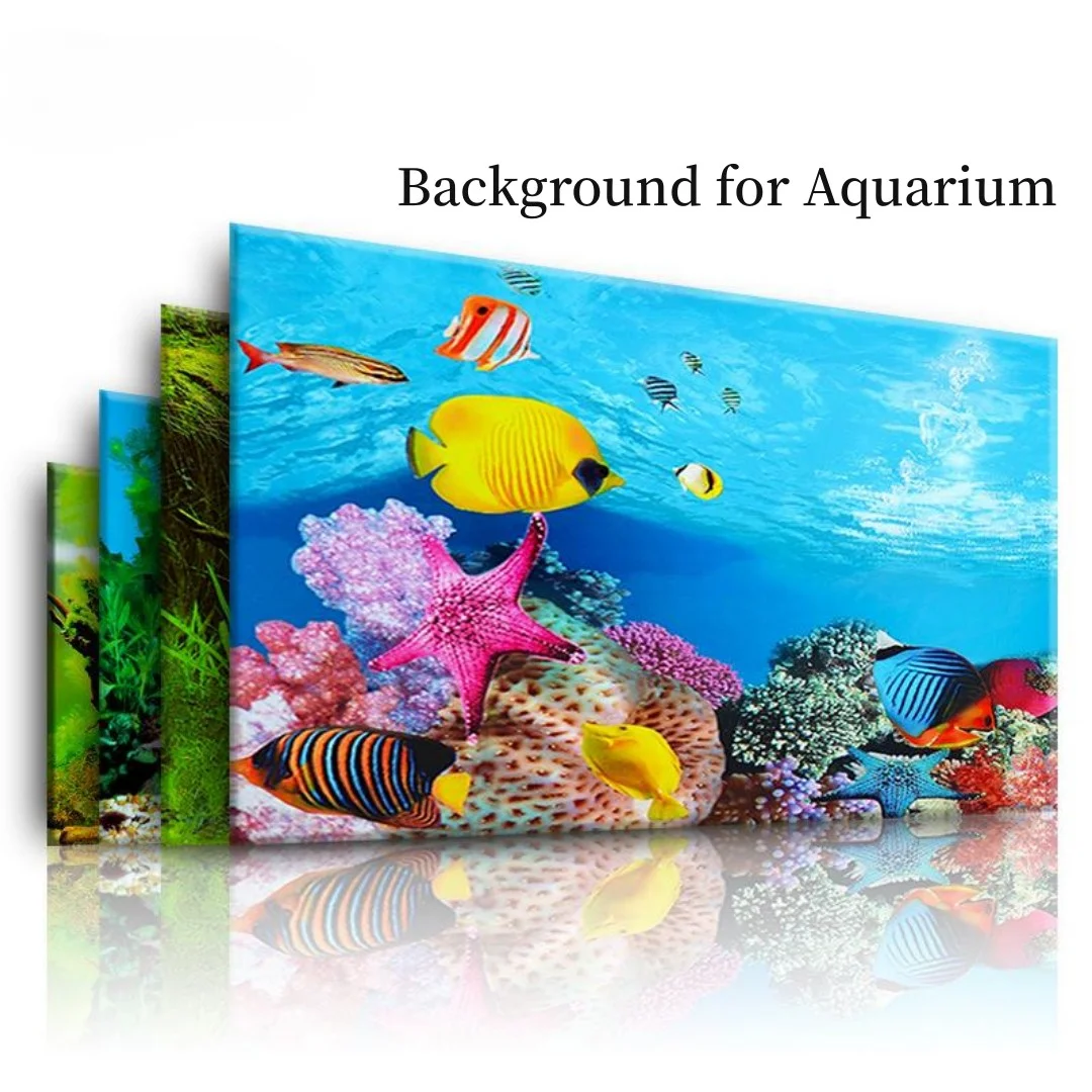 พื้นหลัง Aquarium 3D สติกเกอร์ - Marine Aquarium Aquascape บทวิจารณ์และราคา