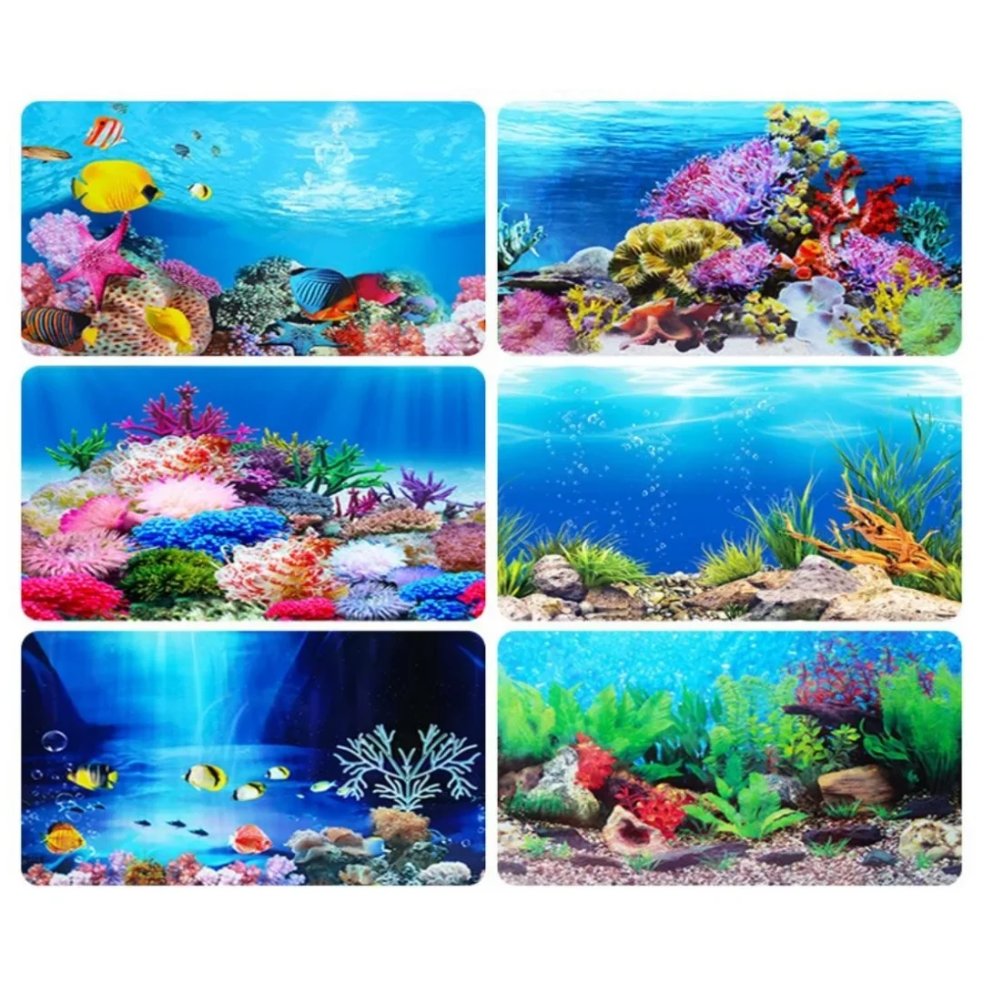 พื้นหลัง Aquarium 3D สติกเกอร์ - Marine Aquarium Aquascape บทวิจารณ์และราคา