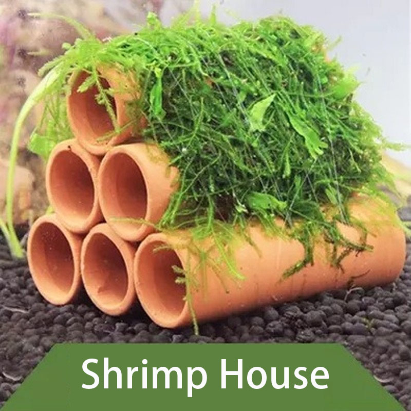 Clay Aquarium ตกแต่งปลากุ้งเล่ - Marine Aquarium Aquascape บทวิจารณ์และราคา