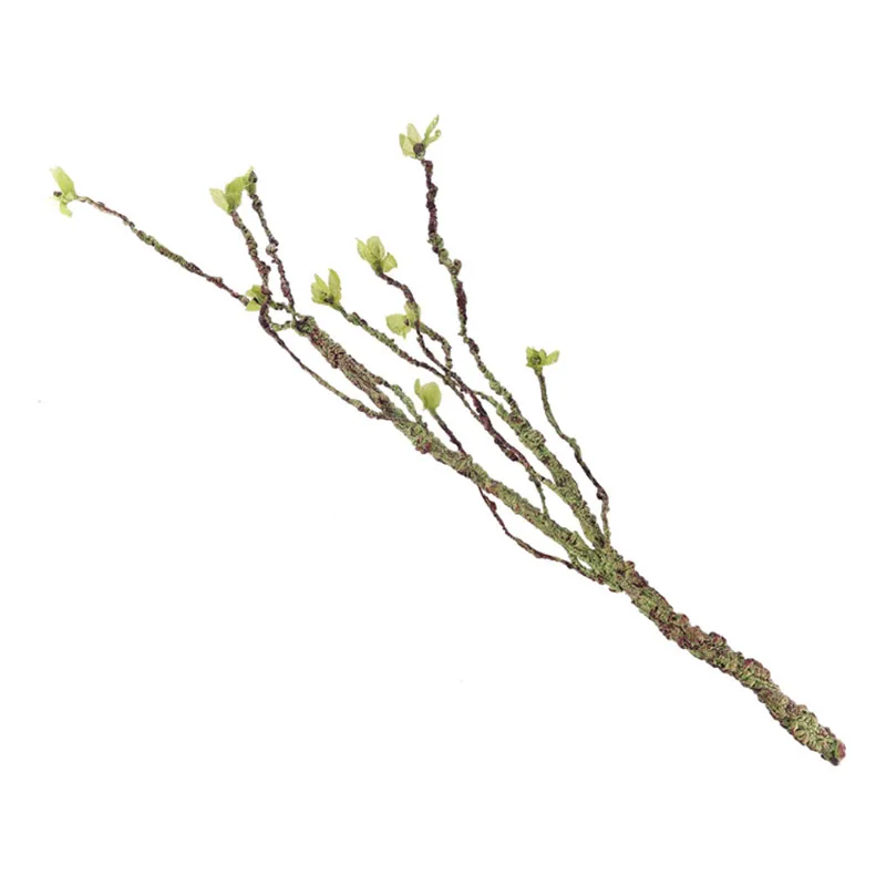 ของตกแต่งตู้ปลาทำจากยางเรซินสำ - Marine Aquarium Aquascape บทวิจารณ์และราคา